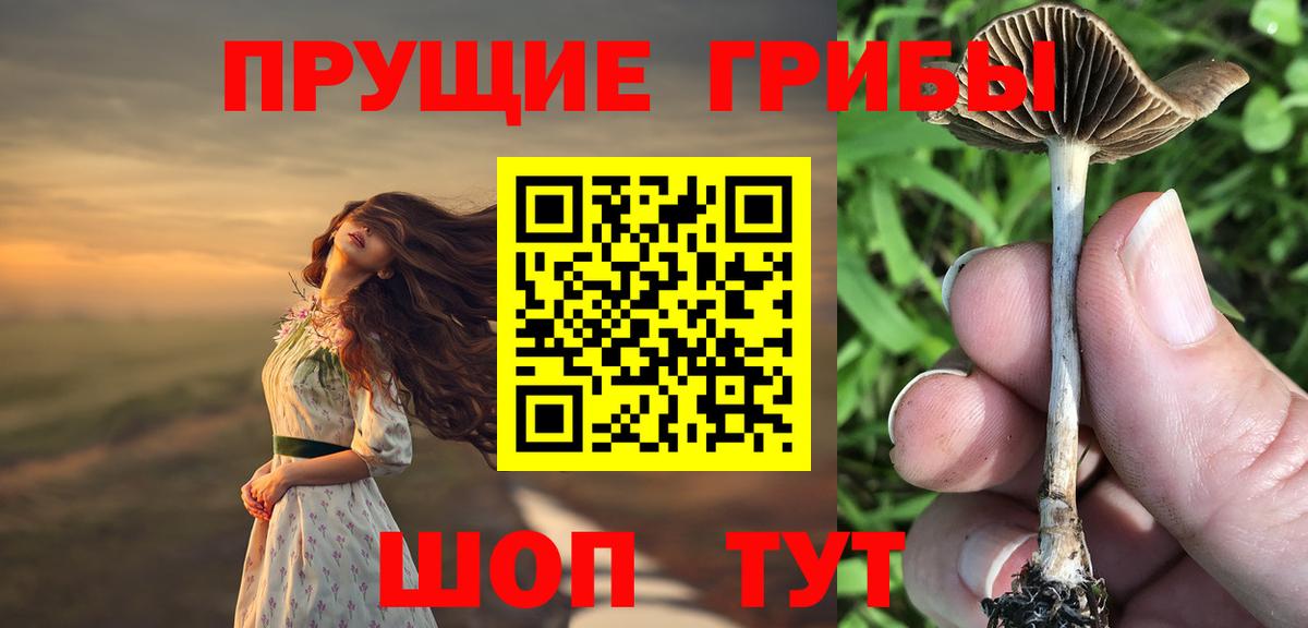 Псилоцибиновые грибы Psilocybine cubensis  где продают   Камышлов  Вход с VPN 