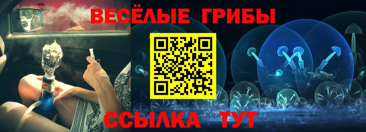 Псилоцибиновые грибы Cubensis Камышлов